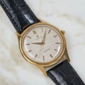 Leilão Rolex